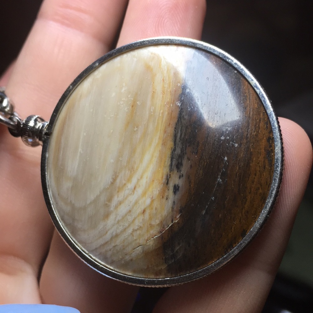 Petrified wood key chain